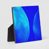 Quallen Fotoplatte (Vorderseite)