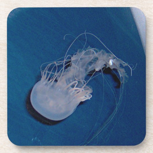 Quallen Getränkeuntersetzer (Vorderseite)