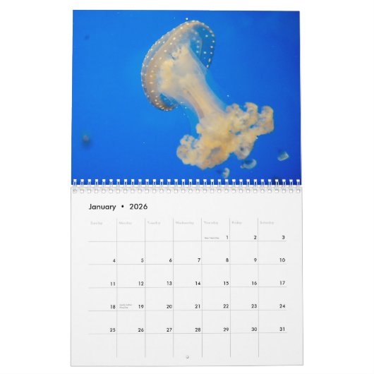 Quallen-Gewohnheit Druckkalender 2019 Kalender (Jan 2026)
