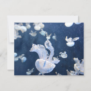 Quallen im Ozean Postkarte