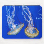 Quallen in blauem Wasser Mousepad (Vorne)