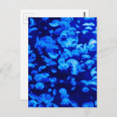 Quallen in Deep Blue Sea Postkarte (Vorne/Hinten)