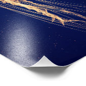 Quallen in lebendiger Farbe | FOTO (Ecke)