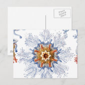 Quallen in Orange und Blue Postkarte (Vorne/Hinten)