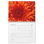 Quallen Kalender (Feb 2027)