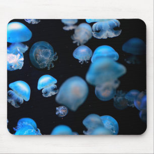 Quallen, Lebewesen, Meerestiere Mousepad