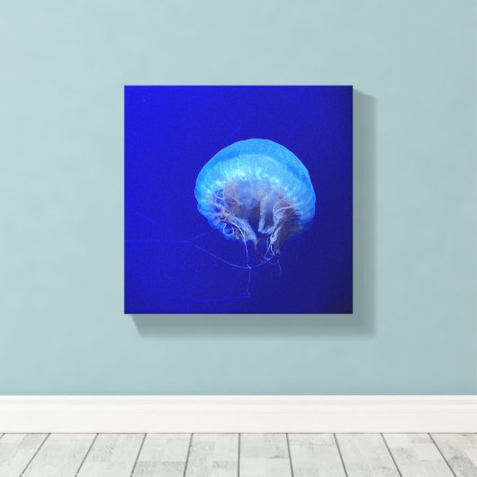 Quallen Leinwanddruck (Insitu (Holzboden))