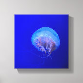 Quallen Leinwanddruck (Vorderseite)