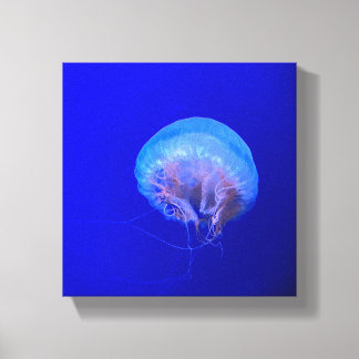 Quallen Leinwanddruck