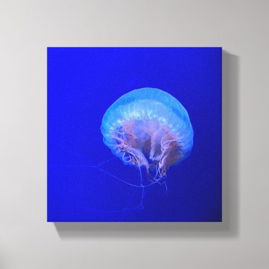 Quallen Leinwanddruck (Vorderseite)