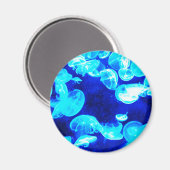 Quallen Magnet (Vorderseite/Rückseite)