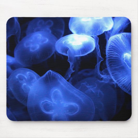 Quallen Mousepad (Vorne)