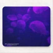 Quallen Mousepad (Vorne)