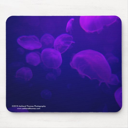 Quallen Mousepad (Vorne)