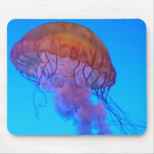 Quallen Mousepad