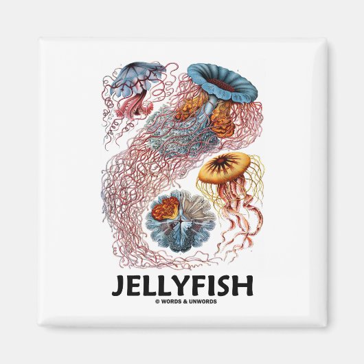 Quallen (Naturkunst von Ernest Haeckel) Magnet (Vorne)