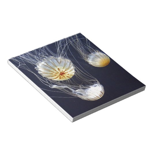 Quallen Notizblock (angewinkelt)