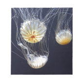 Quallen Notizblock (Vorderseite)