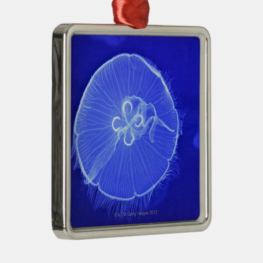 Quallen Ornament Aus Metall (Rechts)