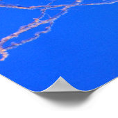 Quallen Poster (Ecke)