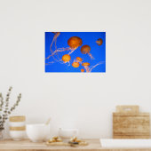 Quallen Poster (Küche)