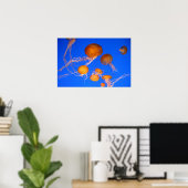 Quallen Poster (Heimbüro)