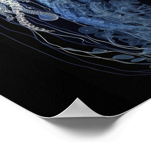 Quallen Poster (Ecke)