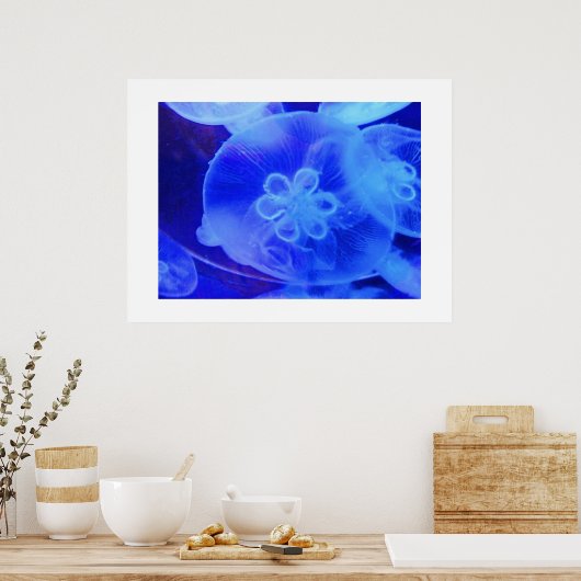 Quallen Poster (Küche)