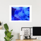 Quallen Poster (Heimbüro)