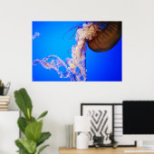 Quallen Poster (Heimbüro)