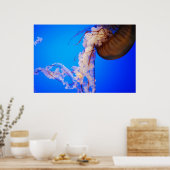 Quallen Poster (Küche)