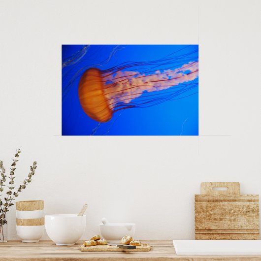 Quallen-Poster 1 Poster (Küche)