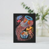 Quallen Postkarte (Stehend Vorderseite)