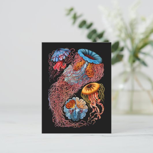 Quallen Postkarte (Stehend Vorderseite)