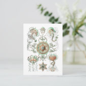 Quallen Postkarte (Stehend Vorderseite)