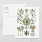 Quallen Postkarte (Vorne/Hinten)