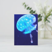 Quallen Postkarte (Stehend Vorderseite)