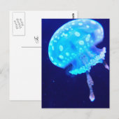 Quallen Postkarte (Vorne/Hinten)