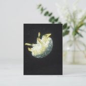 Quallen Postkarte (Stehend Vorderseite)