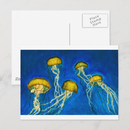 Quallen Postkarte (Vorne/Hinten)
