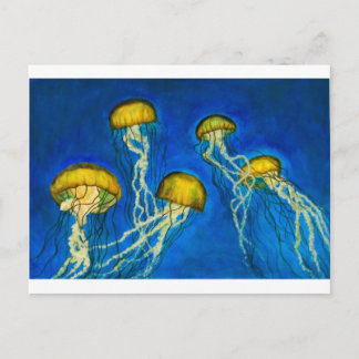 Quallen Postkarte