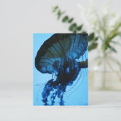 Quallen Postkarte (Stehend Vorderseite)