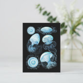 Quallen Postkarte (Stehend Vorderseite)