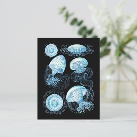 Quallen Postkarte (Stehend Vorderseite)