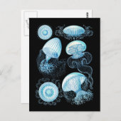 Quallen Postkarte (Vorne/Hinten)