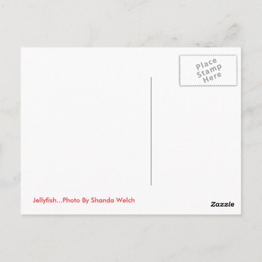 Quallen Postkarte (Rückseite)