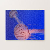 Quallen Puzzle (Horizontal)