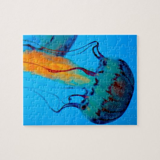 Quallen Puzzle (Horizontal)