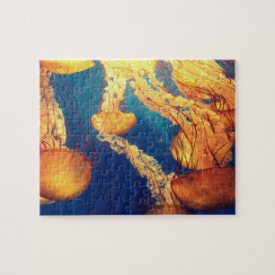Quallen Puzzle