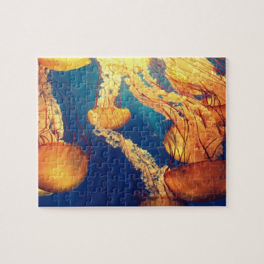 Quallen Puzzle (Horizontal)